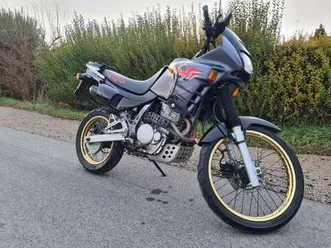 dominator 500 ccm