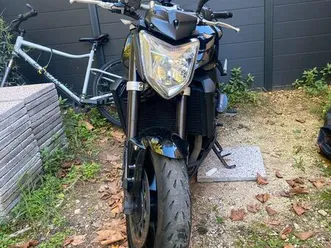 fz1
