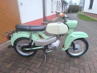 simson habicht