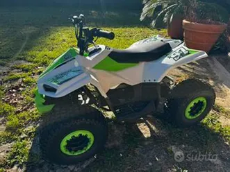 quad lem elettrico 750w