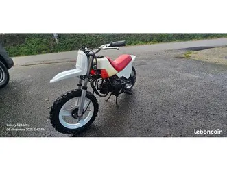 pw 50