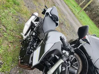 honda hornet 750 bridée