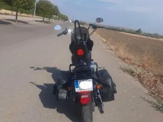 harley davidson - sportster xl 883 cust