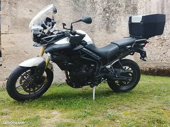 tiger 800 abs - triumph