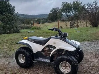 quad yamaha 125 breeze