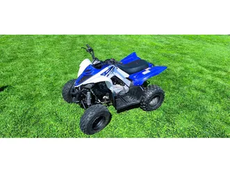 yamaha raptor yfm 90 →