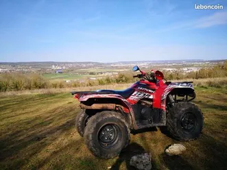 quad yamaha 350 bruin homologué