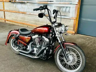 1200 sportster low