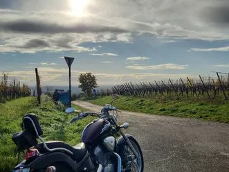 honda shadow 600 ct ok