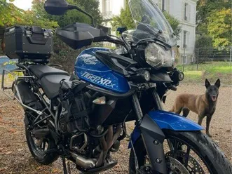 triumph tiger 800 xrx