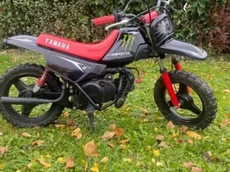 yamaha pw50