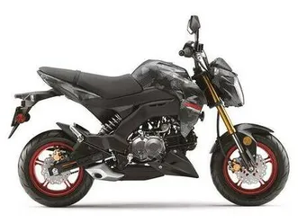 2024 kawasaki z125 pro