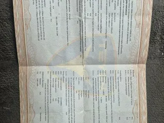 alpha motors city leader roller