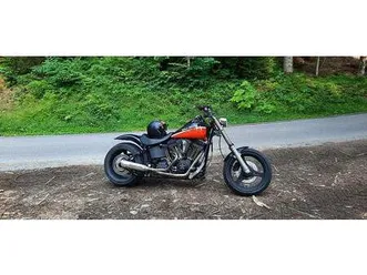 harley night train canton berne -