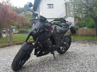 zontes zt 125 u canton berne -