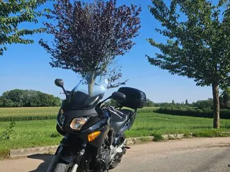 honda cbf600 de 2005