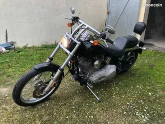 softail standard ct ok