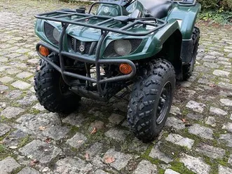 bruin 350 yamaha