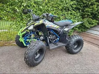 lem quad maxi kondor 125 cc ruote 8