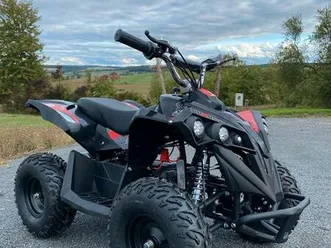 quad 1000 watt 48v elektro kinderquad neu pocket bike quad