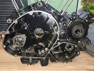 motror für kawasaki vn 900 classic