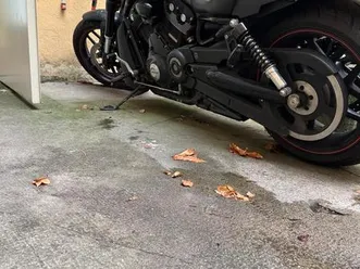 harley davidson night rod special