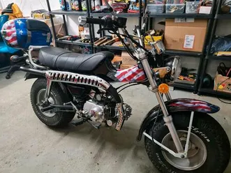 skyteam t-rex 49 ccm hotrod ( unikat )