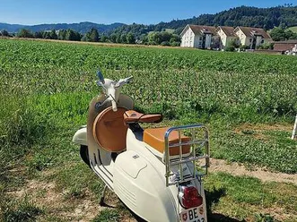 vespa 125 gt vnl 1 canton berne -