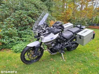 triumph tiger