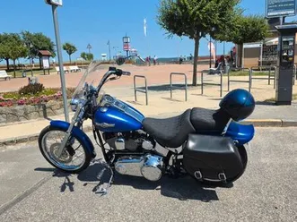 harley-davidson softtail custom