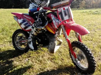 minicross grizzly 10