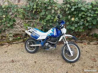 suzuki 650 djebel dr