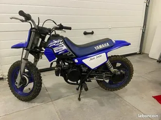 pw 50 2019