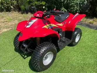 idée cadeau de noël ? vrai quad enfant e-ton 50 viper junior