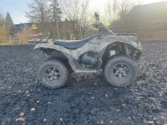 kawasaki 750 brute force