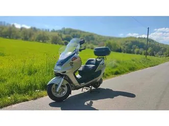 yamaha majesty dx250