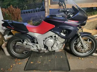 yamaha tdm 850 tüv neu bremsen neu batterie neu !!