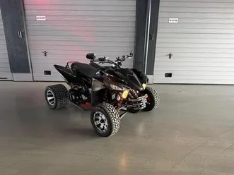 beeline bestia 5.5 service neu lof zulassung