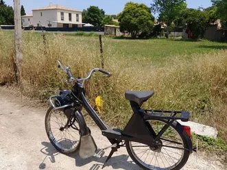 solex 3800