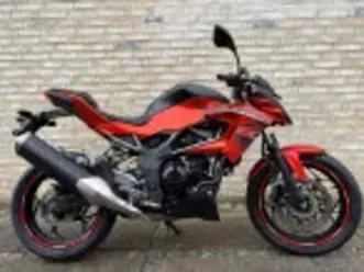 kawasaki z 250 sl