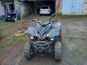 quad adly 300