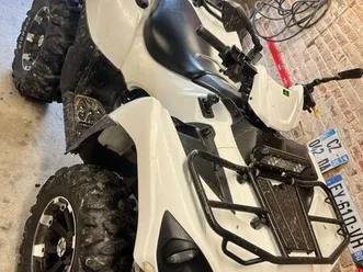 quad kawasaki