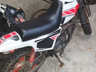 piwi 50 en bon état