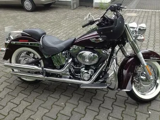 harley-davidson softail deluxe (gepflegt)