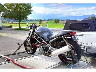ducati monster