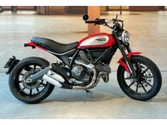 ducati scrambler 803 icon