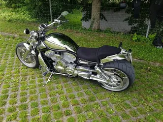 harley-davidson vrod