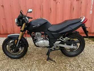 2010 sachs roadster 125