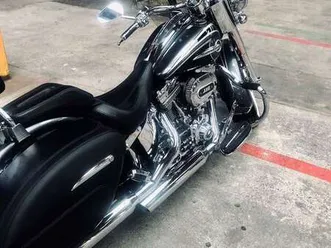 harley-davidson softail