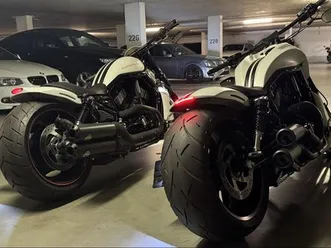 harley davidson night rod